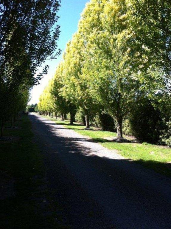 The Meadows Villa Christchurch Exteriér fotografie